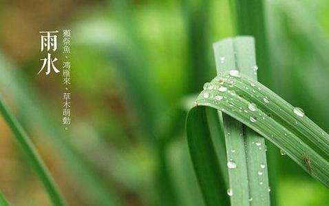 今日雨水